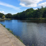 Auberge Du Poisson Blanc
