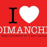 Esprit Sushi Pontarlier logo