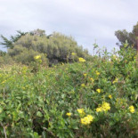 La Roquebrunoise Vue Mer Et Château outside