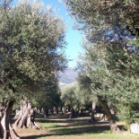 La Roquebrunoise Vue Mer Et Château outside