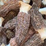 Monsieur Céd Comida