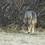 Restaurace Na ToČnĚ Boisson