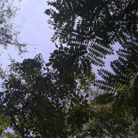 Chateau De Rieux Extérieur