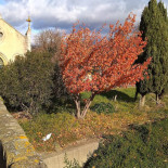 Chateau De Rieux Extérieur