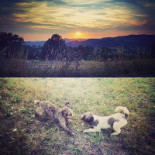 L'antica Grotta Exterior