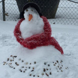 Domaine Arleblanc Bebida