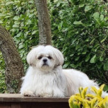 Le Relais De La Comté outside