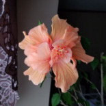 Bastide St Victor Maison D'hôtes Dans Le Lubéron drink