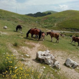 La Fett'unta Extérieur