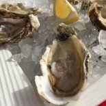 Le Comptoir Gali food