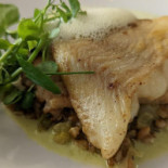 Amphitryon Nourriture