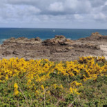 Le Bretagne Exterior