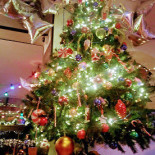 Brasserie la marine Exterior