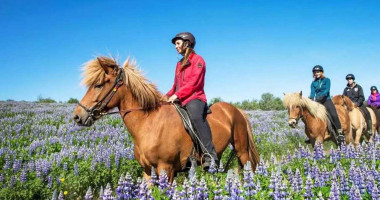 Minniborgir Extérieur