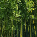 L'orée Du Château Exterior