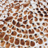 Pizzeria La Dolce Vita