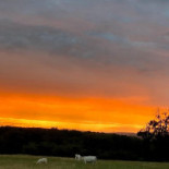 Le Mas D'en Haut Extérieur