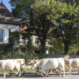 Le Mas D'en Haut Exterior