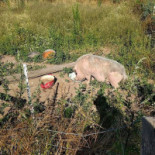 Le Mas D'en Haut Exterior