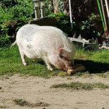 Le Mas D'en Haut Exterior