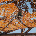 Buvette Du Roucas Extérieur