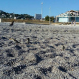 Buvette Du Roucas Extérieur