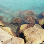 Buvette Du Roucas Extérieur