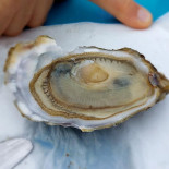 Au Qg De La Mer Boisson