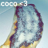 Casa Pizz Pizza A Emporté menu