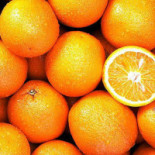 Creperie Bleu Marine Boisson