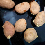 Les Douceurs De Salina food