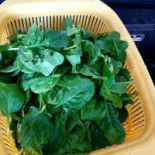 Les Douceurs De Salina drink