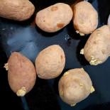 Les Douceurs De Salina food