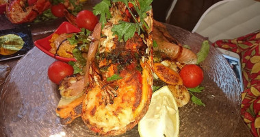 Coelacanthe food