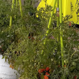 Le Saint Sauveur Extérieur