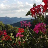 Restaurant Le Turckheim Croix d'Or Extérieur