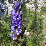 Bar Restaurant Le Cairn Extérieur