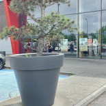 Bistrot Du Marche Benfeld Exterior