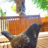 La Sauce y est ... drink