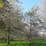 Golf Blue Green Caen Exterior