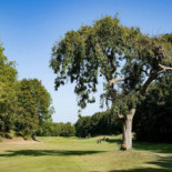 Golf Blue Green Caen Exterior