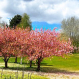 Golf Blue Green Caen Exterior