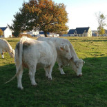 Golf Blue Green Caen Exterior