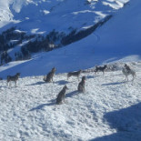 Le Tramassel Extérieur