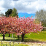 Golf Blue Green Caen Exterior