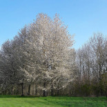 Golf Blue Green Caen Exterior