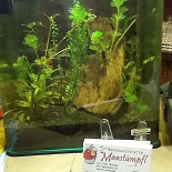 Chez Franklin Bebida