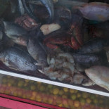 Pizzeria Mobile La Flambée drink