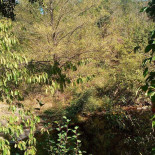 Camping Le Font Du Merle Exterior