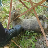 La Table Du Cuisineur Boisson